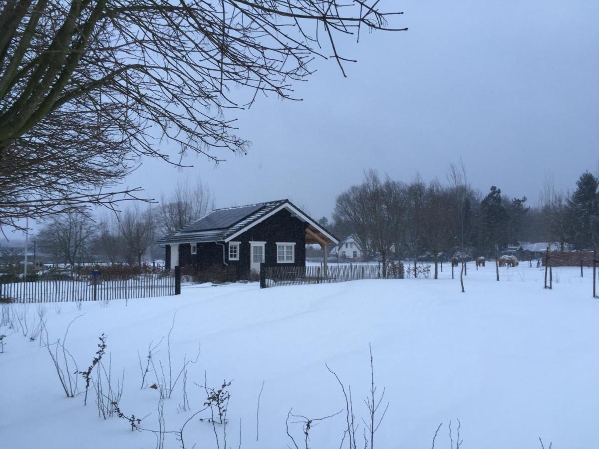 Buitenhuisje B&B De Veldweg Heerde Εξωτερικό φωτογραφία